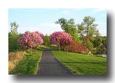 Spring_AtThePark