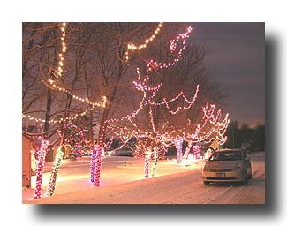 Prius_ChristmasLights_14