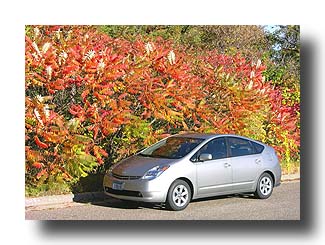 Prius_FallColors_73