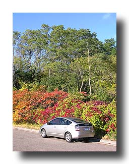 Prius_FallColors_75