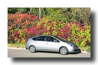 Prius_FallColors_77