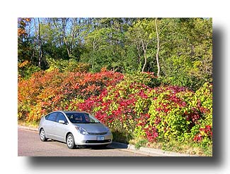 Prius_FallColors_78
