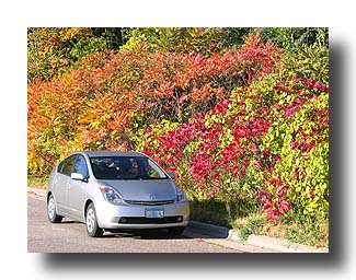 Prius_FallColors_81