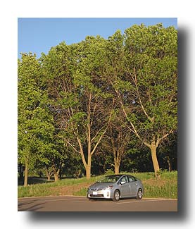 Prius_SummerDusk_08