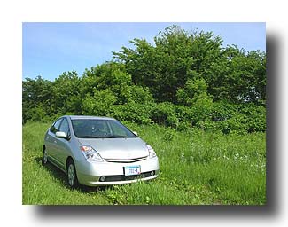 Prius_Summer_102