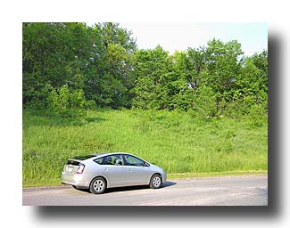 Prius_Summer_80