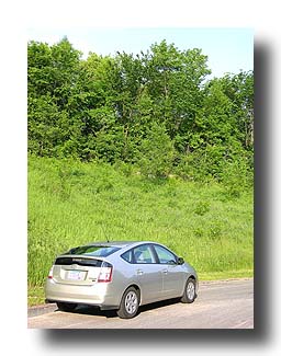 Prius_Summer_81